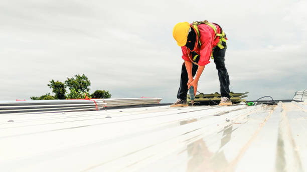Best Storm Damage Roof Repair  in Stephens City, VA
